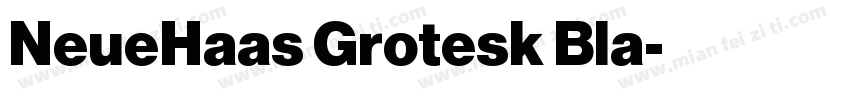 NeueHaas Grotesk Bla字体转换